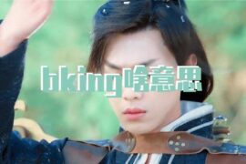 bking是什么意思？-高清封面图