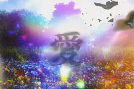 郑州人《爱欲求》歌词表达及评论赏析