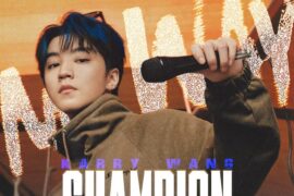王俊凯《Champion My Way》歌词表达及评论赏析