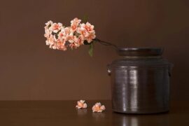 彭佳慧、王栎鑫《回味》歌词完整版