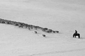 安达组合《江格尔英雄赞》歌词完整版