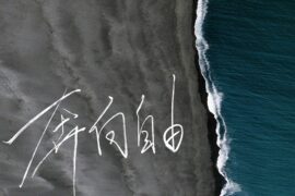 阿达娃《奔向自由》歌词表达及评论