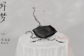 韦礼安《坏人好梦》歌词表达及评论