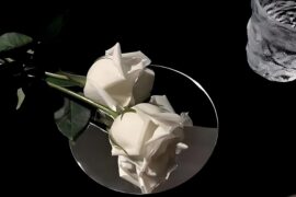 石榴《见过花开就好了》歌词表达及评论赏析