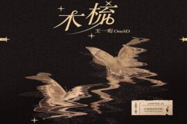 王一珩OneSD《木梳》歌词及评论