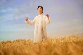 李玉刚《你从我的诗里看见了谁》歌词表达及评论赏析