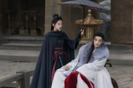 邓寓君(等什么君)《飞花入梦》歌词表达及评论