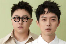 好妹妹乐队《草木不哀》歌词及评论