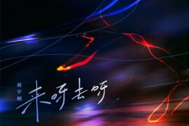 胡宇桐《来呀去呀》歌词表达及评论