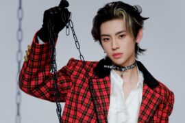 小鬼《倦鸟》歌词表达及评论赏析