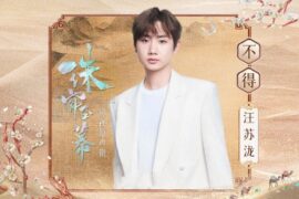 汪苏泷《不得》歌词《珠帘玉幕》主题曲