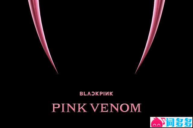 BLACKPINK《Pink Venom》完整版歌词