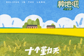 十个勤天《后陡门的夏》歌词表达及评论