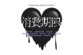 SEVENTEEN《消費期限》歌词及评论