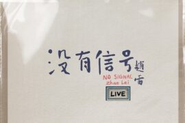 赵雷《开往北京的火车》歌词及评论