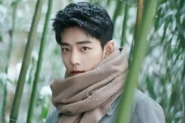 肖战《不要回头》歌词完整版