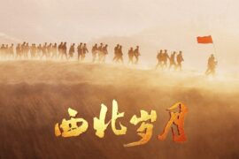 韩红《种子》歌词及评论《西北岁月》片头曲