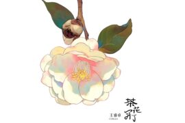 王睿卓《茶花开了》歌词及赏析