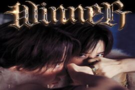 李斯丹妮《Winner》歌词表达及评论