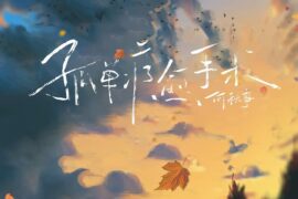 何秋亊《孤单疗愈手术》歌词表达及评论