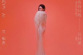 艾怡良《怎么演怎么不像》歌词及赏析