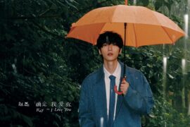 赵磊《怎么会》歌词表达及评论