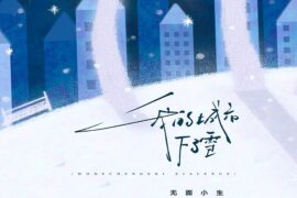 无面小生《我的城市下了雪》歌词完整版