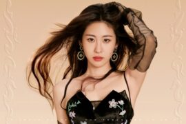 张碧晨《Day Day Up》歌词表达及评论赏析