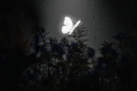 江辰、张叶蕾《复制爱》完整版歌词