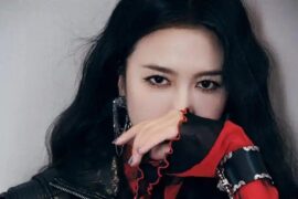 谭维维《流芳》歌词《国色芳华》主题曲