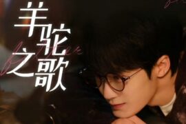 檀健次、闫夏《羊驼之歌》歌词《滤镜》片尾曲