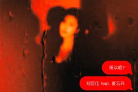刘至佳、姜云升《所以呢》歌词表达及评论