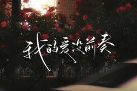 罗森涛《我的爱没前奏》歌词完整版