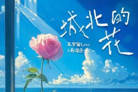 王宇宙Leto、乔浚丞《城北的花》歌词及评论