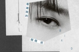 张远《看着我的眼睛说》完整版歌词