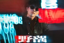 许嵩《野路》歌词及评论