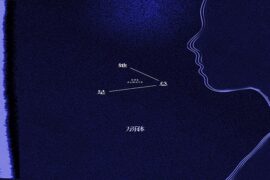 万乐体《她总是》歌词及评论