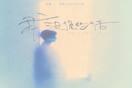 高睿、刘思达《我没说的话》歌词及评论