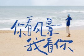 姚琛《你看风景我看你》完整版歌词