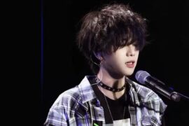 华晨宇《不重逢》歌词表达及评论赏析