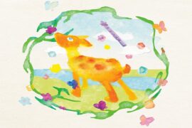 普阿山、MoonJellies《我出生的夏天》歌词及赏析