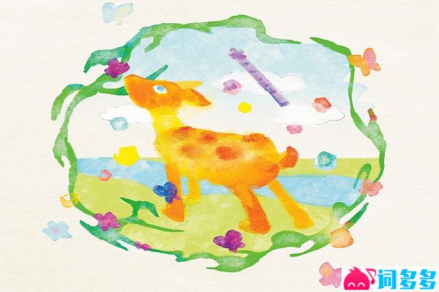 普阿山、MoonJellies《我出生的夏天》歌词及赏析