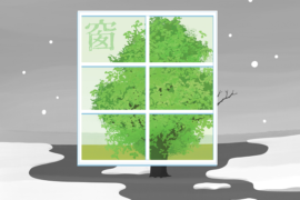 TF家族《窗》歌词及赏析