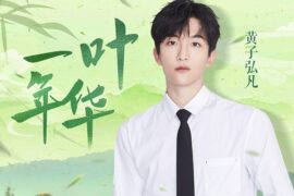 黄子弘凡《一叶年华》歌词及赏析
