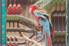 回春丹《花桥》歌词表达及评论