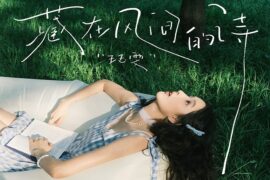 王玉雯《藏在风间的诗》完整版歌词