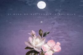 渡《四点的海棠花未眠》完整版歌词