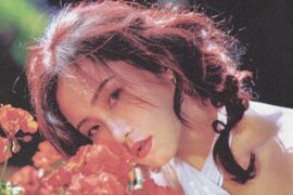 陈婧霏、当山ひとみ《Cathy 2025》歌词完整版