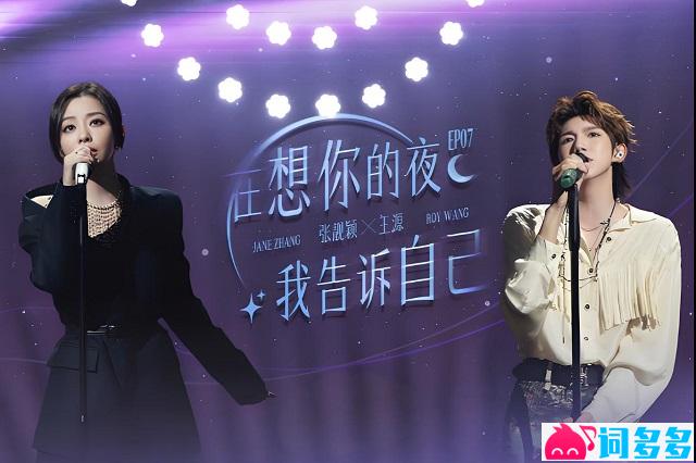 张靓颖、王源《在想你的夜我告诉自己》歌词及赏析