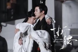 王泓昊《不枉》歌词及赏析《折腰》无悔曲